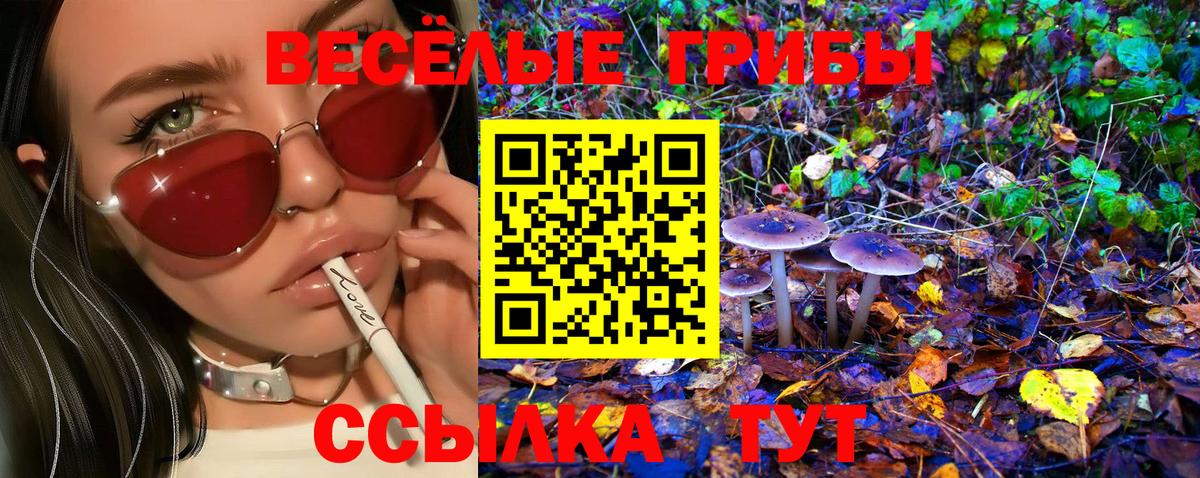 Фрязино  Псилоцибиновые грибы ЛСД  Вход с VPN 